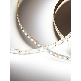 Светодиодная лента 12 Вт/м 24V SMD2835 (120 диод/м) Открытая (IP20) Цвет Нейтральный белый LR LUX, фото 