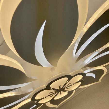 Светодиодная люстра LI8847/8+1 WT 180W LED 4000-6500K, фото , изображение 6