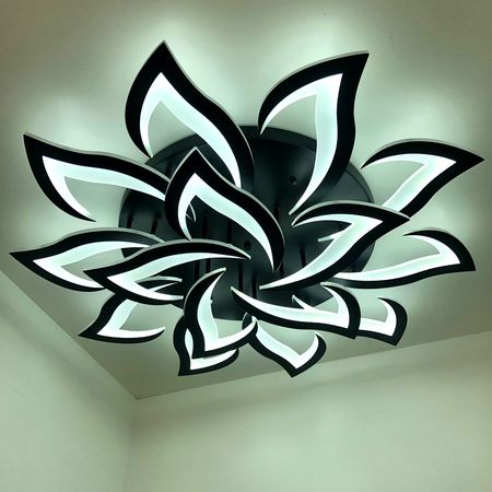 Люстра светодиодная 3016/10+5 BK, фото , изображение 2